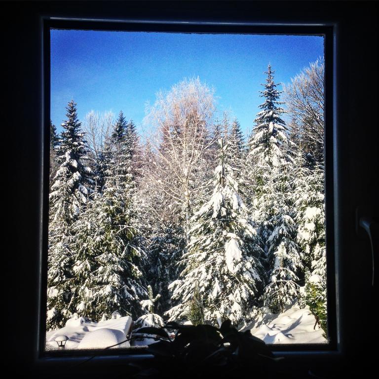 Kwatera Pod Lasem Istebna Exterior foto